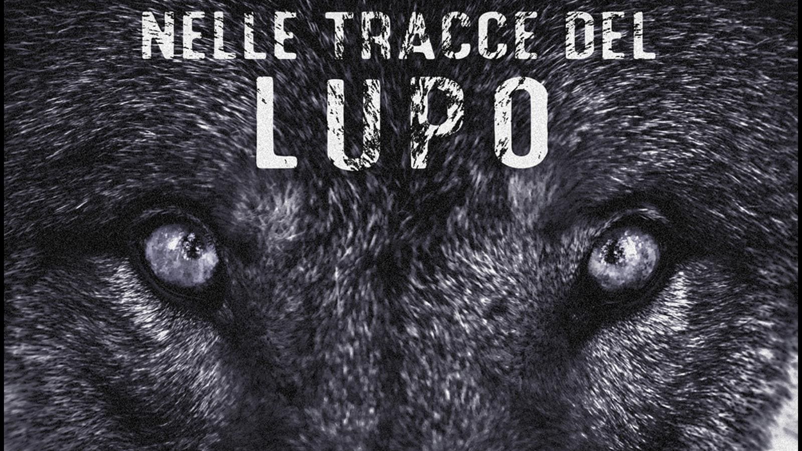 "Nelle tracce del Lupo" RAI Ufficio Stampa